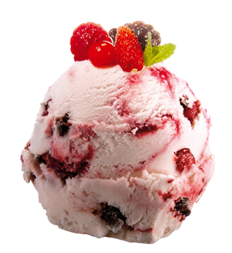 Yogur Frutos Bosque